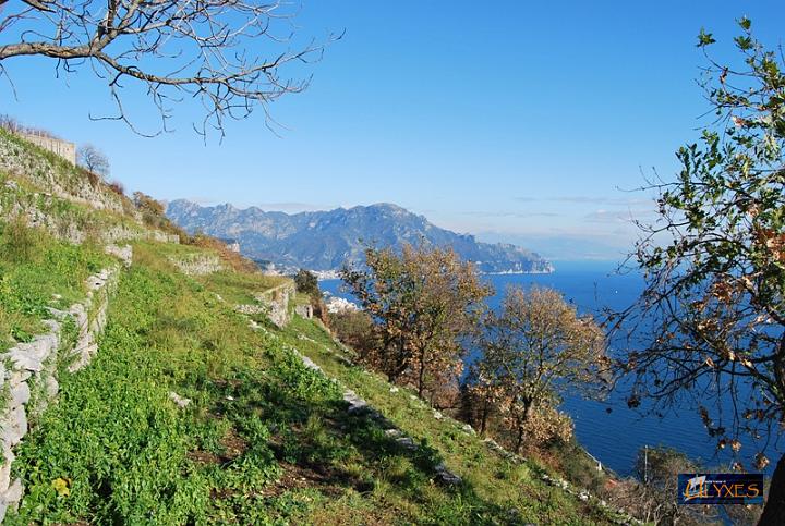 panorama da tovere.JPG
